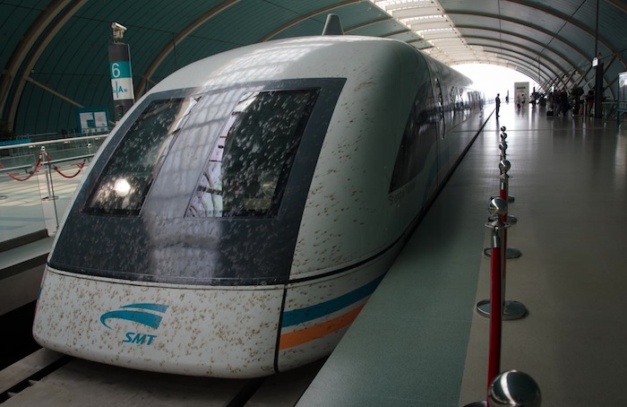 Maglev caught a lot of flies