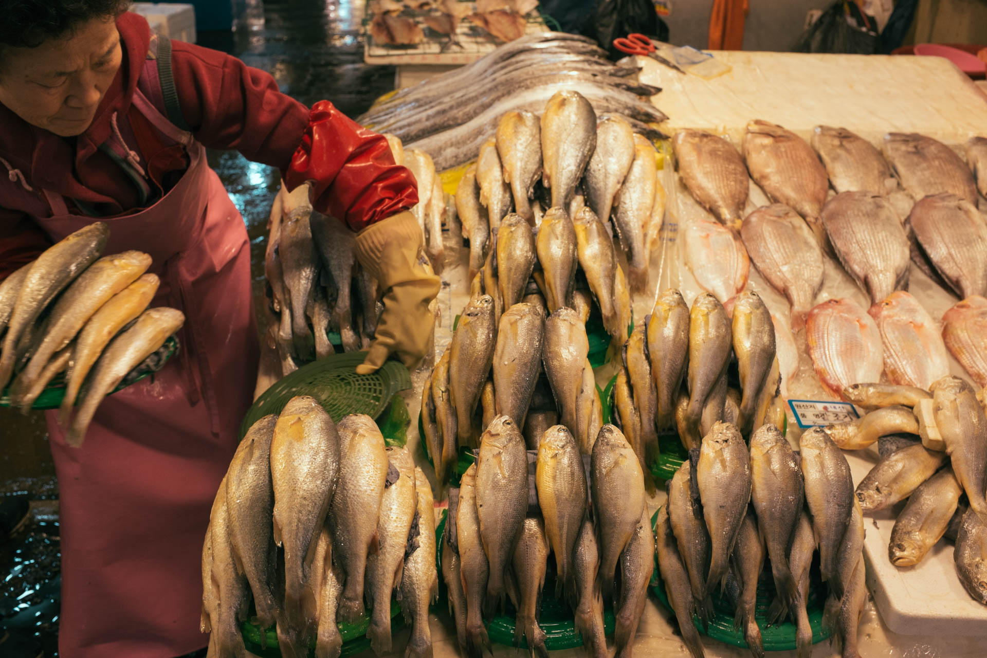 Noryangjin Fish Market