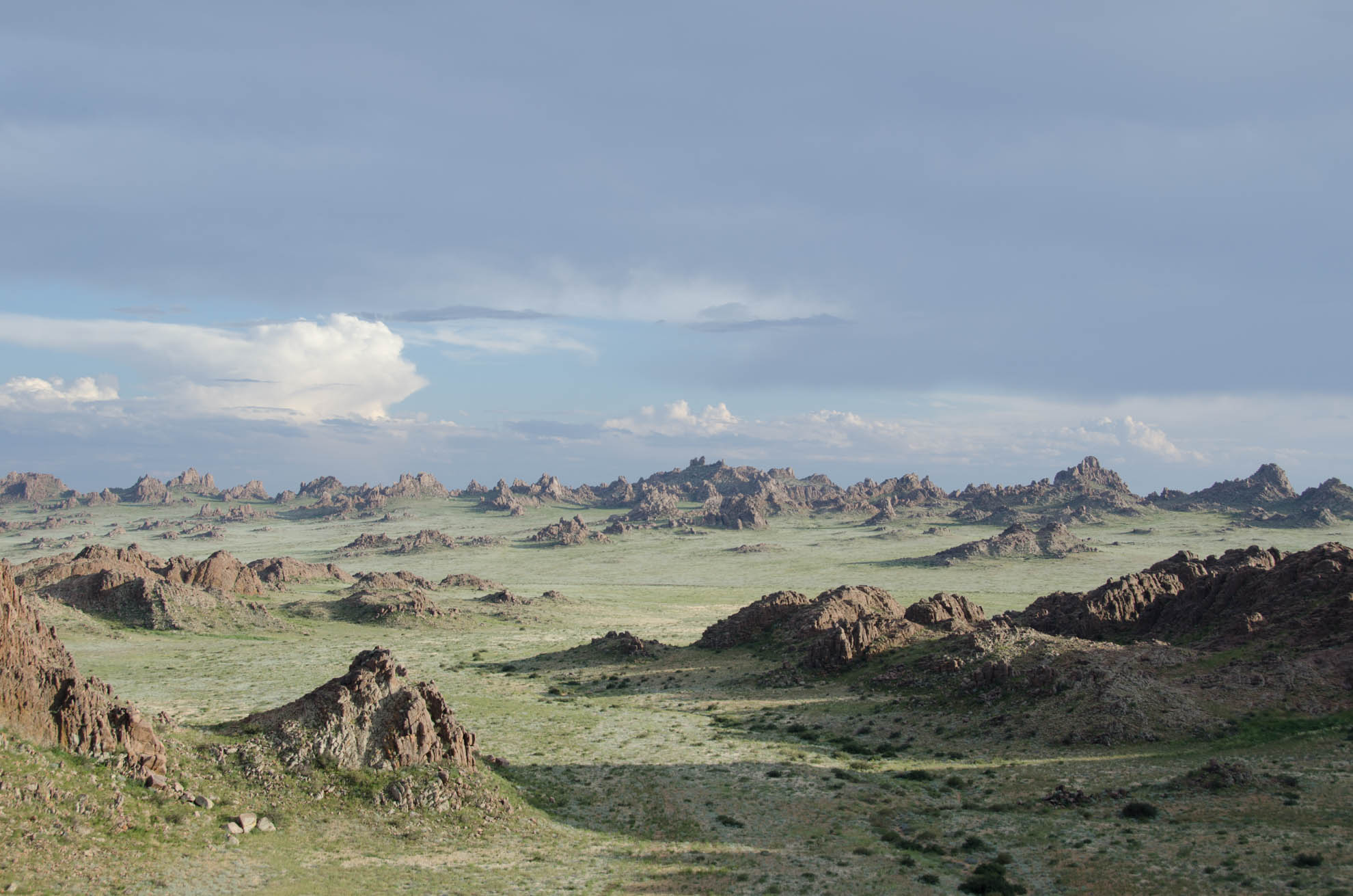 Gobi Tour: Party in a Turtle