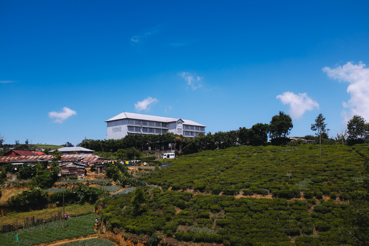 Pedro tea factory near Nuwara Eliya