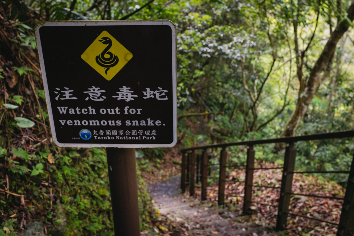 Towering Marble Walls in Taroko Gorge