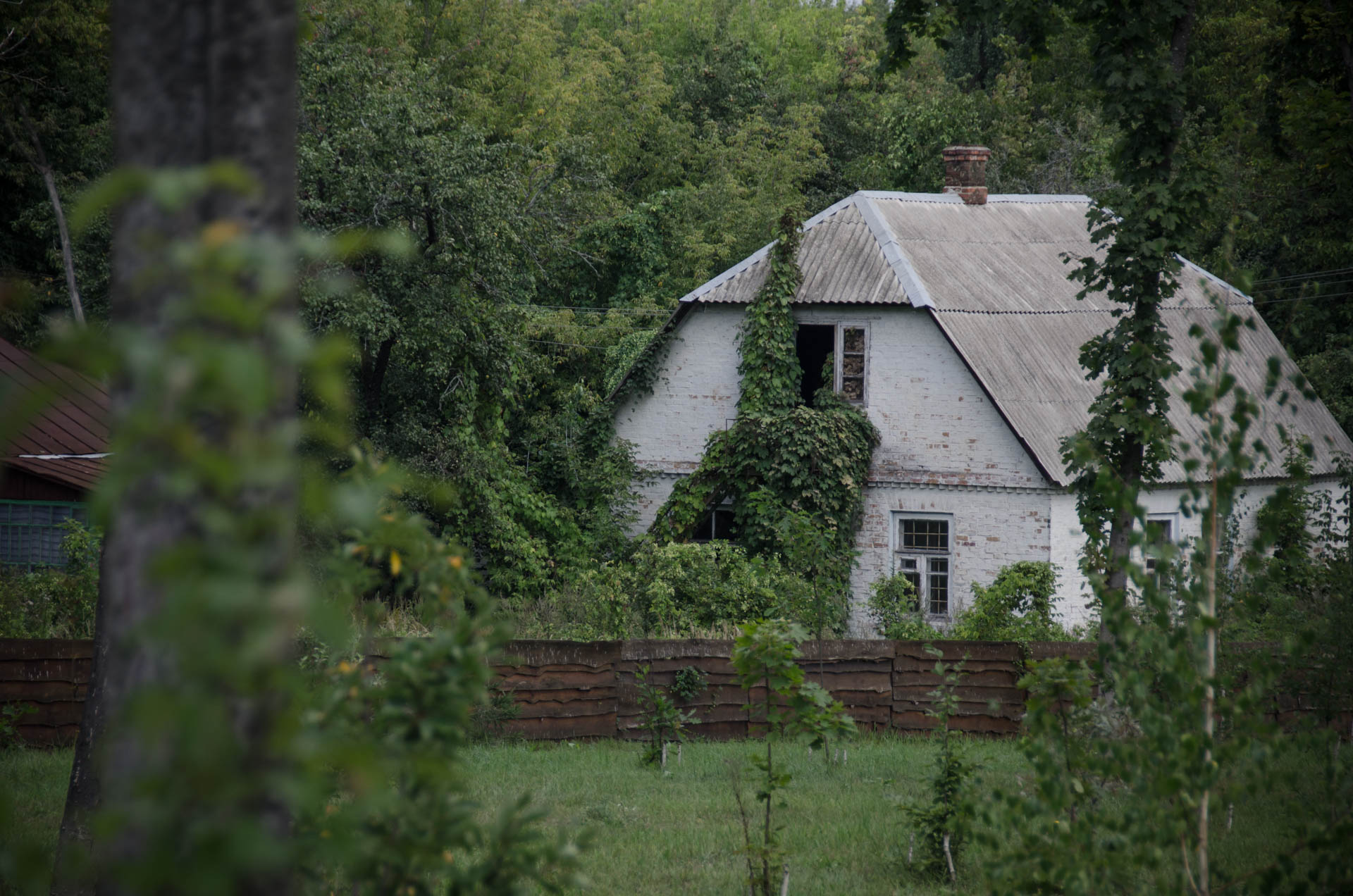 Abandoned house 3