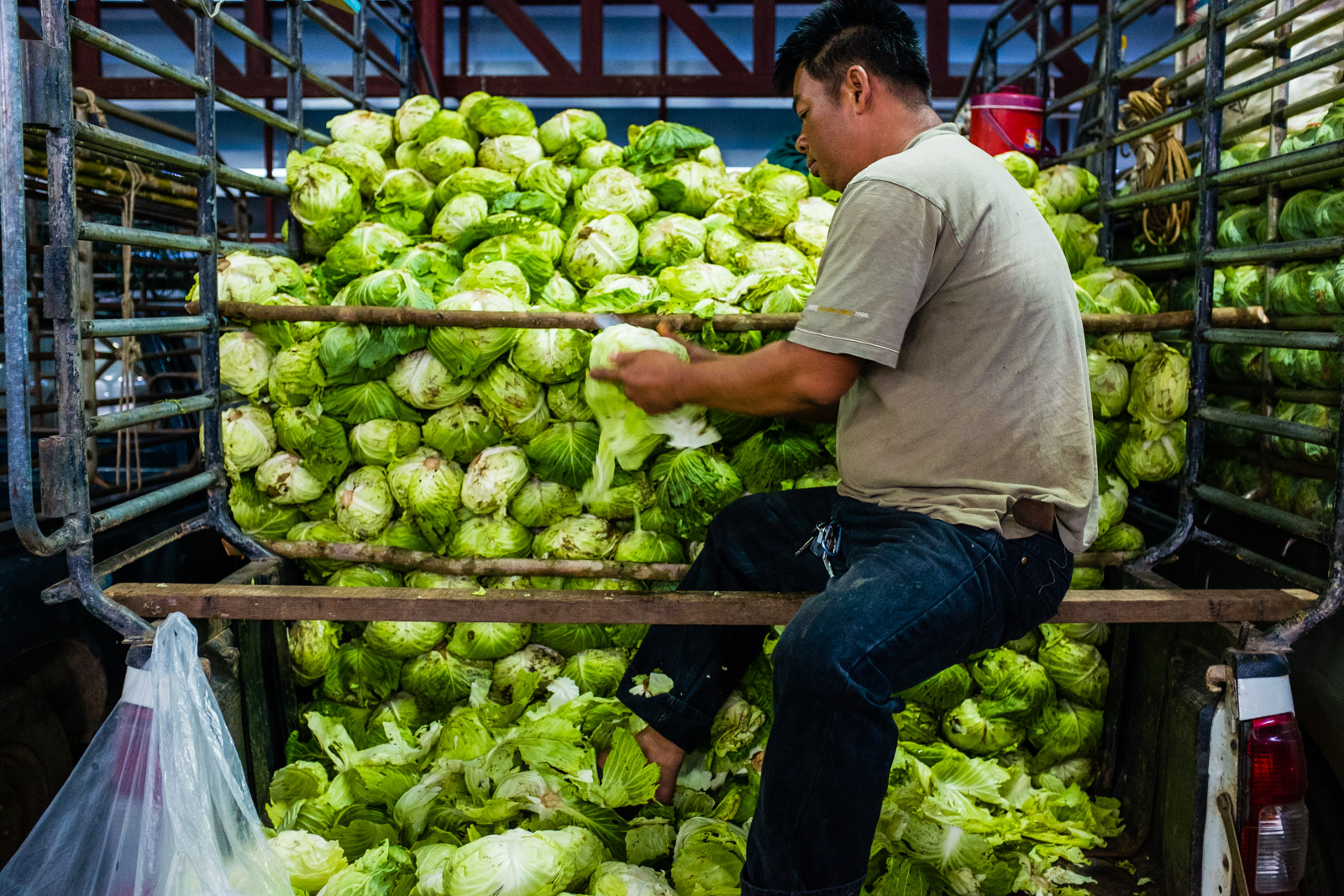 Cabbage truck